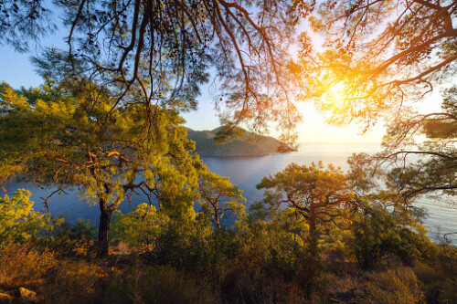 Turkish landscape with Olympos mountain, beach with green forest